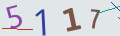 verifycode